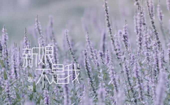 程响 – 新娘不是我 高清MV