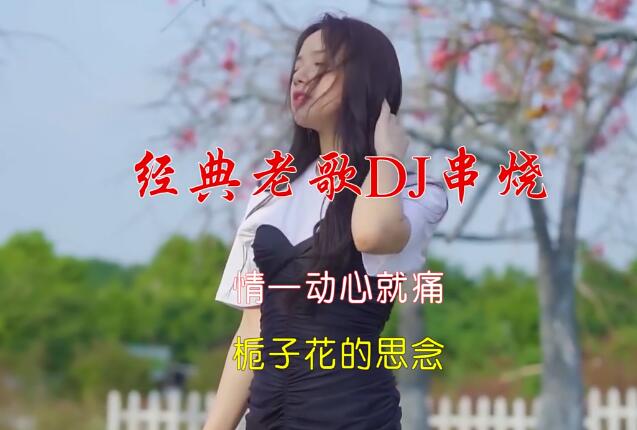 经典歌曲DJ串烧-车载高清MV