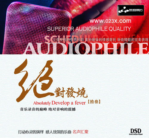 妙音唱片→群星《绝对发烧·拾叁 DSD》FLAC 下载