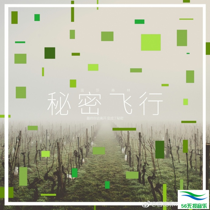 温莎森林 – 《秘密飞行》[FLAC 无损音乐]免费下载