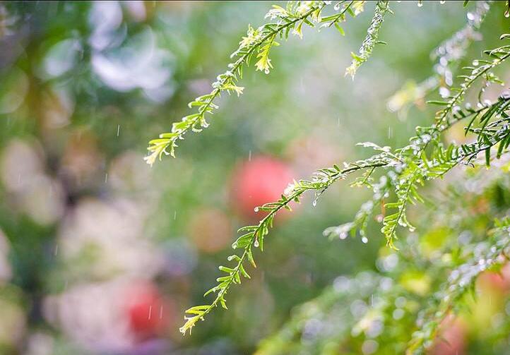 仿佛走进绵绵秋雨，随风飘落的秋叶和淅淅沥沥的细雨中：《Deep Joy》