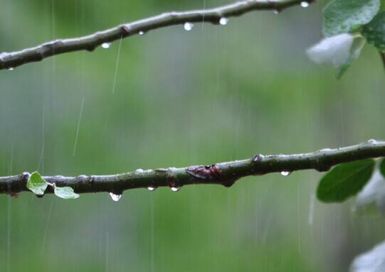 清凉又带着些许动感的旋律：《天街の雨-Aosaki 》