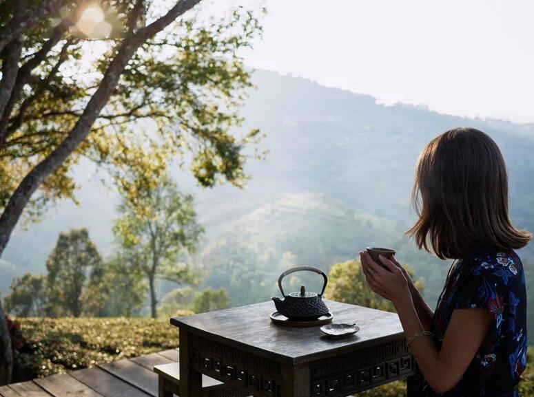 在云上写诗 在山里喝茶